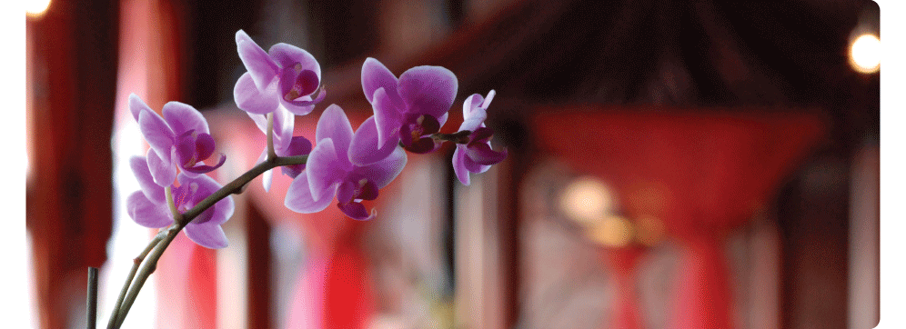 Check out our specials going on now.